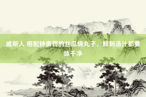 威斯人 相配钟责罚的丝瓜烧丸子，鲜到汤汁都要舔干净