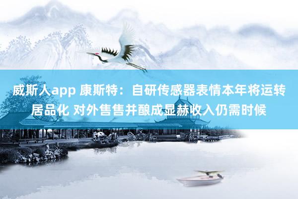 威斯人app 康斯特：自研传感器表情本年将运转居品化 对外售售并酿成显赫收入仍需时候