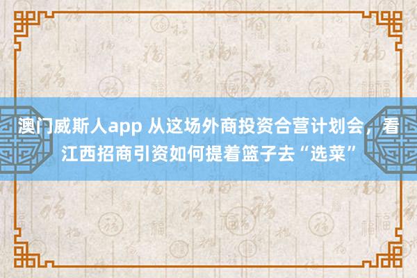 澳门威斯人app 从这场外商投资合营计划会，看江西招商引资如何提着篮子去“选菜”