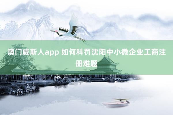 澳门威斯人app 如何科罚沈阳中小微企业工商注册难题