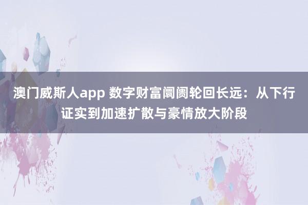 澳门威斯人app 数字财富阛阓轮回长远：从下行证实到加速扩散与豪情放大阶段