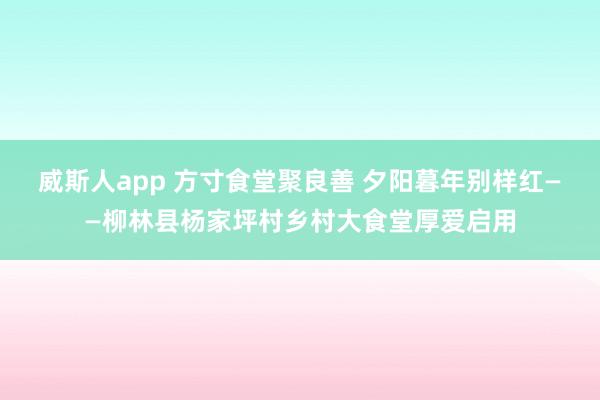 威斯人app 方寸食堂聚良善 夕阳暮年别样红——柳林县杨家坪村乡村大食堂厚爱启用