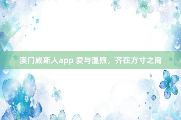 澳门威斯人app 爱与温煦，齐在方寸之间