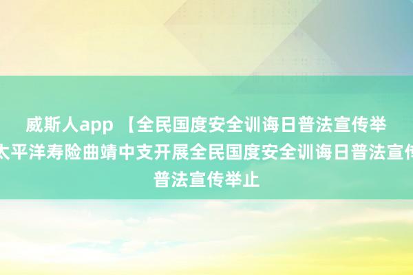 威斯人app 【全民国度安全训诲日普法宣传举止】太平洋寿险曲靖中支开展全民国度安全训诲日普法宣传举止