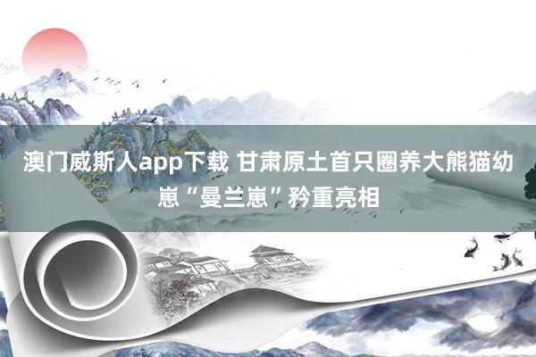 澳门威斯人app下载 甘肃原土首只圈养大熊猫幼崽“曼兰崽”矜重亮相