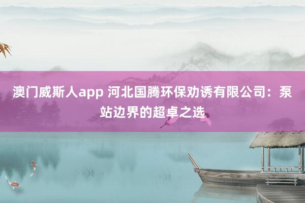 澳门威斯人app 河北国腾环保劝诱有限公司：泵站边界的超卓之选
