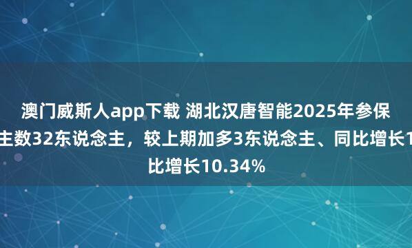 澳门威斯人app下载 湖北汉唐智能2025年参保东说念主数32东说念主，较上期加多3东说念主、同比增长10.34%