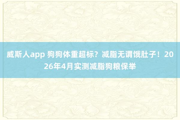 威斯人app 狗狗体重超标？减脂无谓饿肚子！2026年4月实测减脂狗粮保举