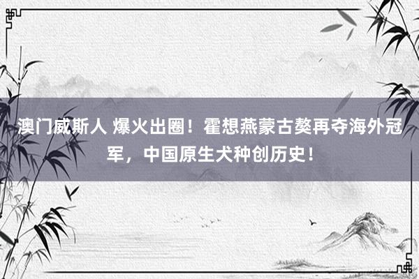 澳门威斯人 爆火出圈！霍想燕蒙古獒再夺海外冠军，中国原生犬种创历史！