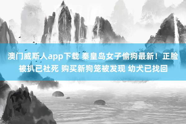 澳门威斯人app下载 秦皇岛女子偷狗最新！正脸被扒已社死 购买新狗笼被发现 幼犬已找回