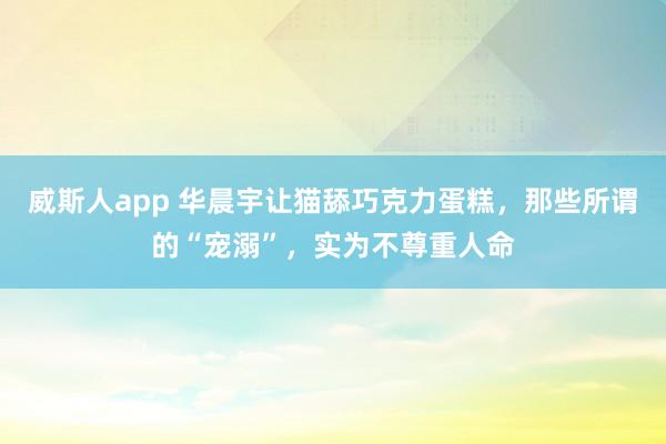 威斯人app 华晨宇让猫舔巧克力蛋糕，那些所谓的“宠溺”，实为不尊重人命