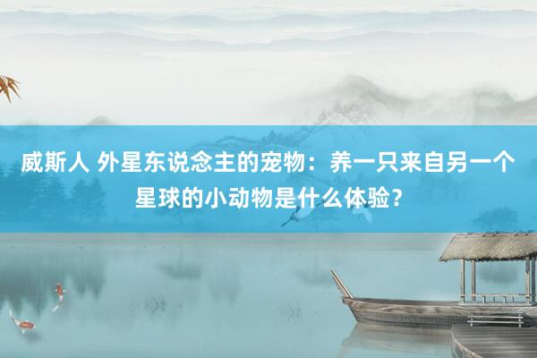 威斯人 外星东说念主的宠物：养一只来自另一个星球的小动物是什么体验？