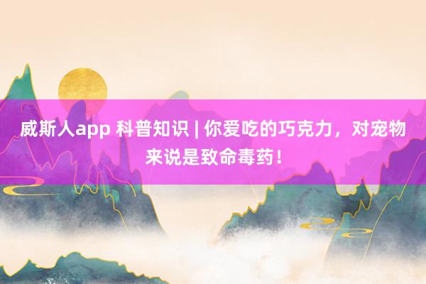 威斯人app 科普知识 | 你爱吃的巧克力，对宠物来说是致命毒药！