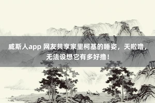 威斯人app 网友共享家里柯基的睡姿，天啦噜，无法设想它有多好撸！