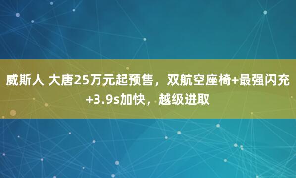 威斯人 大唐25万元起预售，双航空座椅+最强闪充+3.9s加快，越级进取