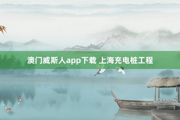 澳门威斯人app下载 上海充电桩工程