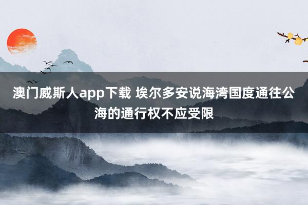澳门威斯人app下载 埃尔多安说海湾国度通往公海的通行权不应受限