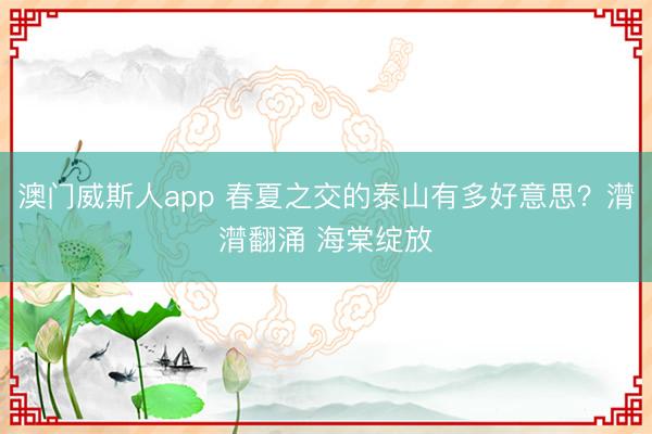 澳门威斯人app 春夏之交的泰山有多好意思？潸潸翻涌 海棠绽放