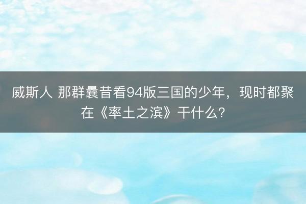 威斯人 那群曩昔看94版三国的少年，现时都聚在《率土之滨》干什么？