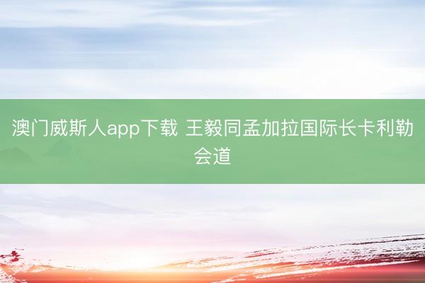 澳门威斯人app下载 王毅同孟加拉国际长卡利勒会道
